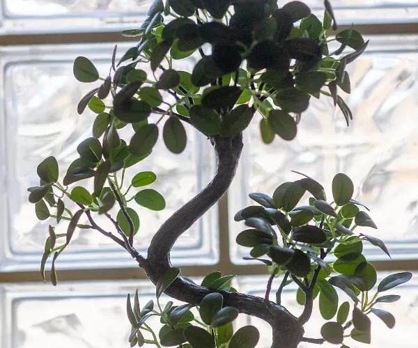 Loc Trotteur Le Safran F2 Grand Confort, Gare Sncf De 公寓