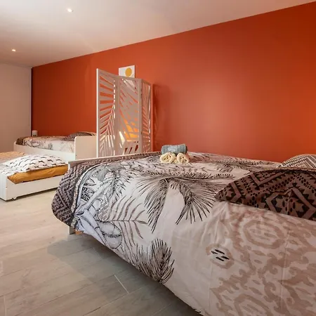 Loc Trotteur Le Safran F2 Grand Confort, Gare Sncf De Lourdes